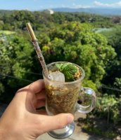 Tereré Recipe - Iced Yerba Mate Drink from Paraguay image