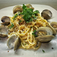 BEST CANNED WHITE CLAM SAUCE RECIPES