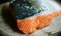 WHAT DOES COHO SALMON EAT RECIPES