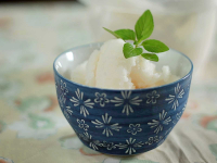 Coconut and Lychee Sorbet - Renaissance Mom image