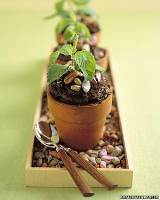 Flowerpot Cakes Recipe | Martha Stewart image