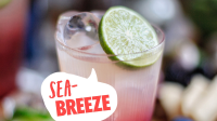 Sea Breeze Recipe | Absolut Drinks image