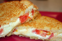COLBY JACK GRILLED CHEESE RECIPES