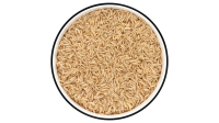 Perfect Brown Basmati Rice Recipe | Real Simple image