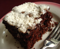 Yummy Chocolate Crumb Cake Recipe - Food.com image