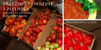 Freezing Tomatoes: 3 Ways To Preserve ... - Fresh Bites Daily image