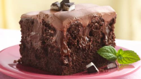 Chocolate-Peppermint Poke Cake Recipe - BettyCrocker.com image