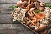 GROCERY STORE MUSHROOMS RECIPES