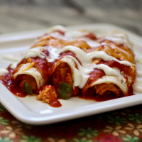 WHAT TO MAKE WITH CHICKEN ENCHILADAS RECIPES