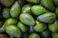 How To Store Avocados: Can You Refrigerate Avocados? – The ... image