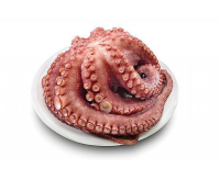 HOW TO COOK AN OCTOPUS RECIPES