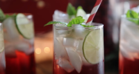 Vodka and Cranberry Punch Recipe - Recipes.net image