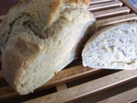 Enjoy No-Knead, Fridge-Friendly Dough Healthy Bread-In 5 ... image