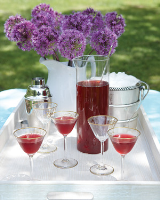 Hibiscus Iced Tea Recipe | Martha Stewart image
