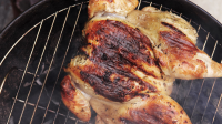 Grilled Spatchcocked Chicken Recipe | Martha Stewart image