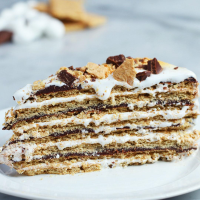 16-Layer No-Bake S’mores Cake Recipe by Tasty image