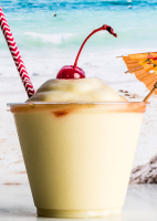 CAN YOU MAKE PINA COLADA WITH COCONUT MILK RECIPES