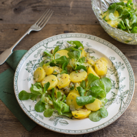 Light Potato and Mâche Salad Recipe - Anne Faber | Food & Wine image