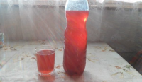 Homemade Plum Syrup - Recipe | Tastycraze.com image