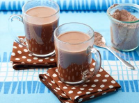 Dairy-Free Hot Chocolate Mix Recipe | Food Network image