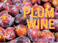 Simple & Easy Plum Wine Recipe - Home Brew Answers image