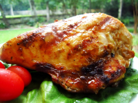 Spicy Indian Grilled Chicken Recipe - Food.com image