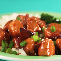RECIPE FOR CHINESE HONEY CHICKEN RECIPES