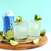 COCONUT WATER COCKTAIL RECIPES RECIPES