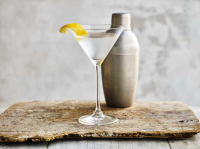 BASIC GIN COCKTAILS RECIPES