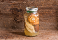 How to Ferment Wild Mushrooms - Forager Chef image