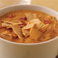 CHICKEN AND CHEESE TORTILLA SOUP RECIPES