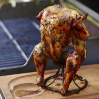 HOW TO GRILL A WHOLE CHICKEN ON A GAS GRILL RECIPES