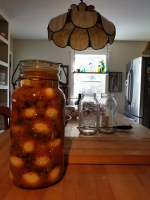 Shannons Spicy Pickled Eggs Recipe - Food.com image