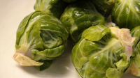 HOW TO CLEAN BRUSSEL SPROUTS RECIPES
