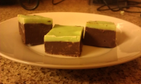 Chocolate Mint Fudge Recipe - Food.com image