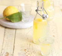 HOW TO DRINK LIMONCELLO RECIPES