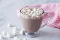 BEST INSTANT HOT CHOCOLATE RECIPES