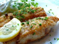 HOW TO FRY TROUT RECIPES