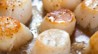How To Cook Scallops on the Stovetop | Kitchn image