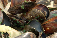 HOW TO COOK MUSSELS ON THE GRILL RECIPES