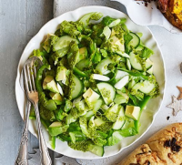 GREEN SALAD WITH CHICKEN RECIPES