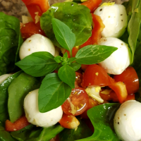 Bocconcini Salad Recipe | Allrecipes image
