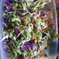 RECIPE FOR ASIAN COLESLAW RECIPES