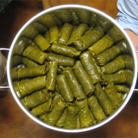 GRAPE LEAVES STUFFED WITH RICE RECIPES
