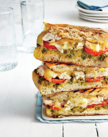 CHICKEN AND FONTINA CHEESE RECIPES RECIPES