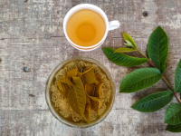 Guava Leaf Tea: Benefits & Side Effects | Organic Facts image