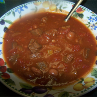 RECIPES FOR DEER CHILI RECIPES