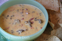 Deep South Dish: Original Ro-Tel Famous Queso Dip and ... image