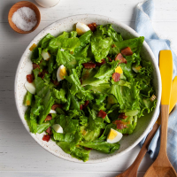 WILTED LETTUCE SALAD RECIPES