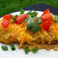 Sour Cream Chicken Enchiladas Recipe | Allrecipes image